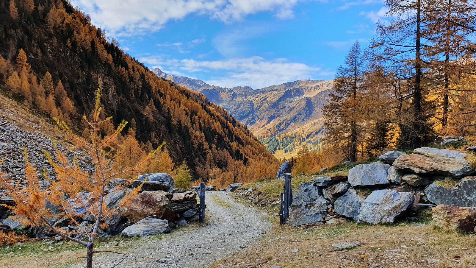 140-dag-6-32-Innervillgraten-Oberstalleralm.jpg