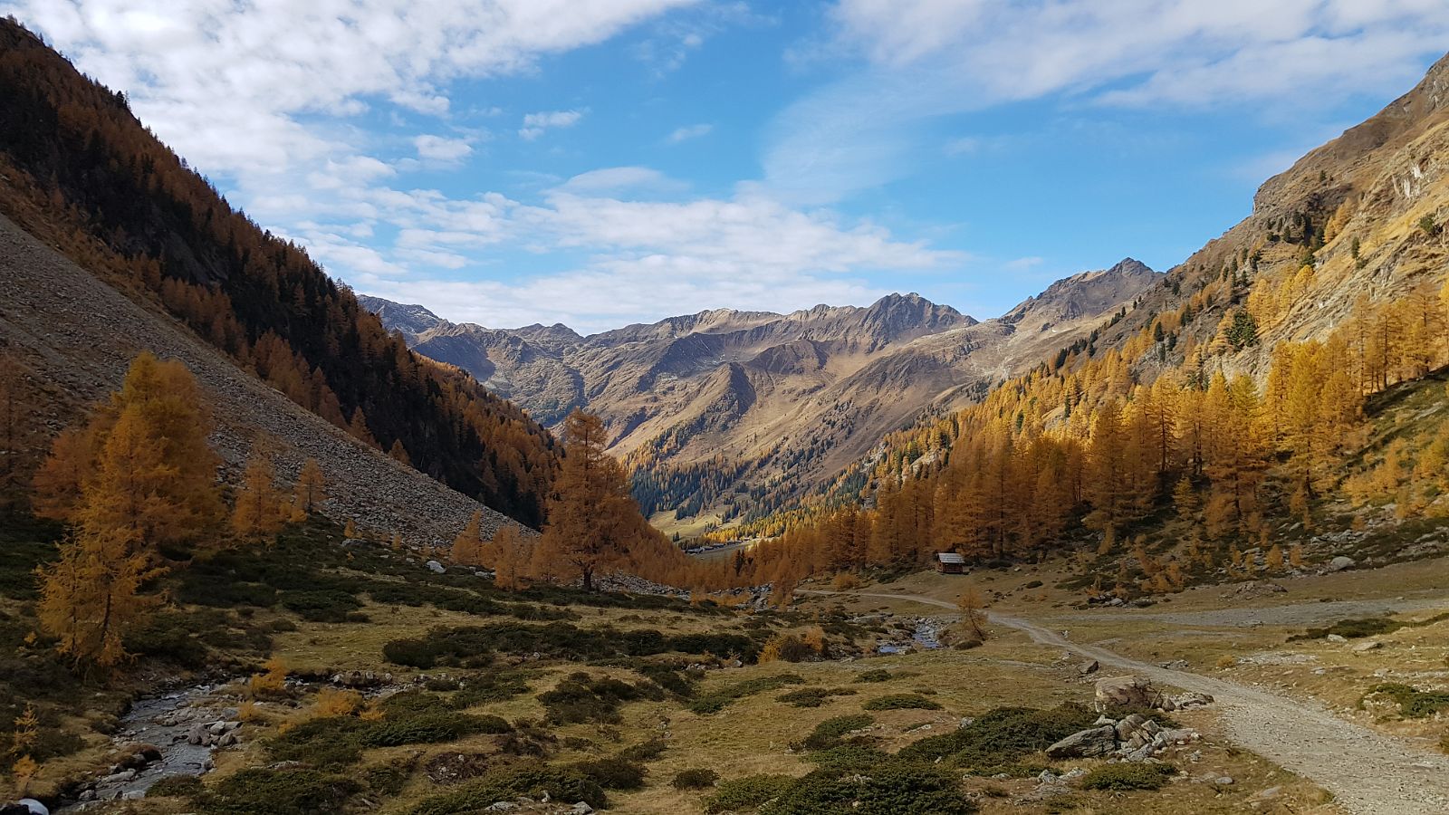 143-dag-6-39-Innervillgraten-Oberstalleralm.jpg