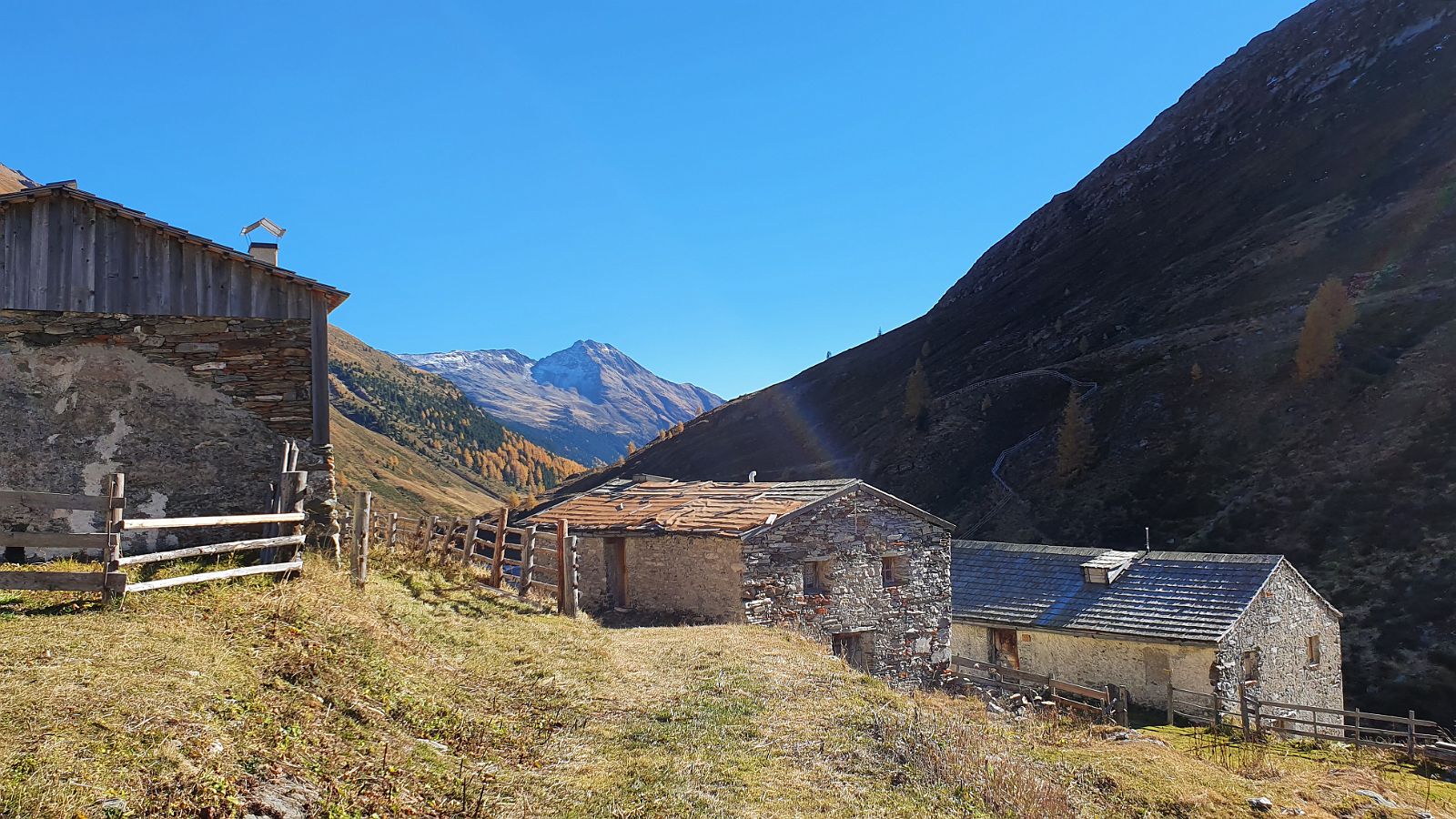 182-dag-7-47-Jagdhausalm.jpg - Het vee wordt midden september over het ‘Joch’ naar Südtirol gebracht. 