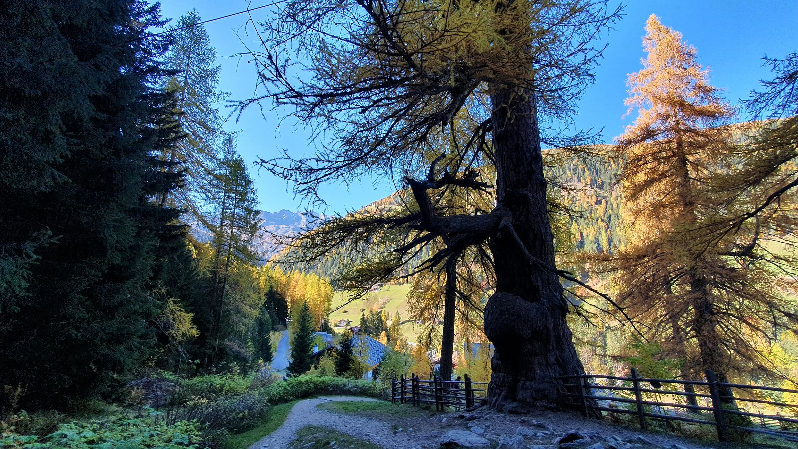 230-dag-8-025-Ultner-Höfeweg-St-Gertraud-urlärchen.jpg