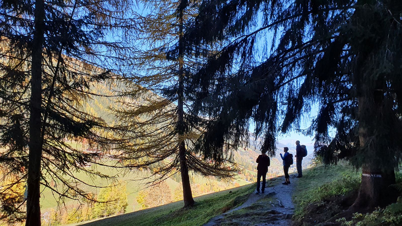 232-dag-8-027-Ultner-Höfeweg-St-Gertraud-urlärchen.jpg