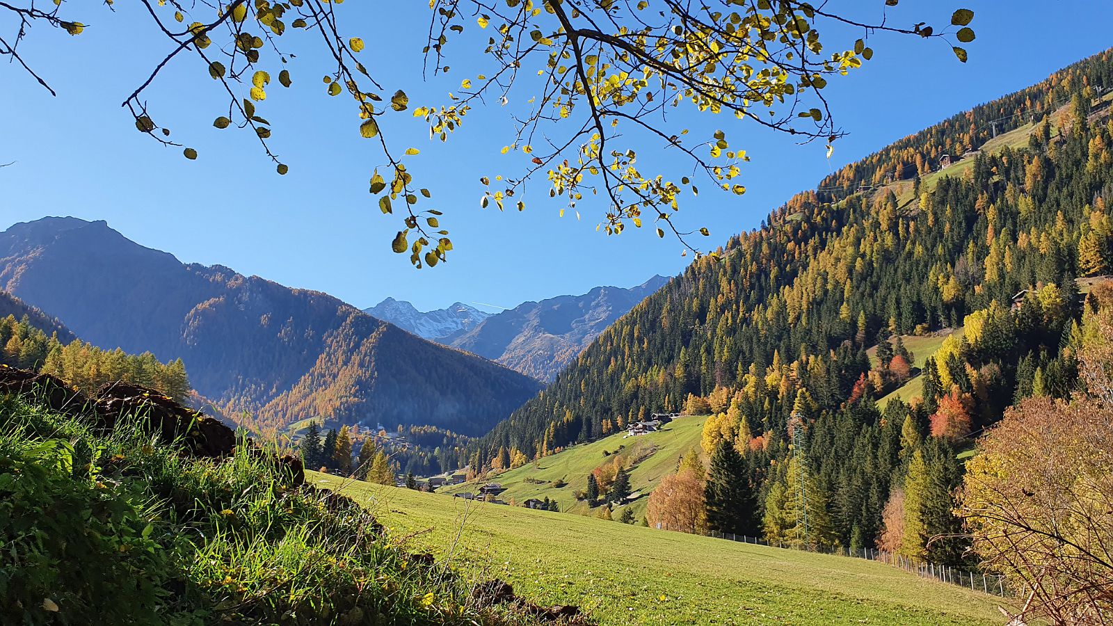 234-dag-8-033-Ultner-Höfeweg-St-Gertraud.jpg