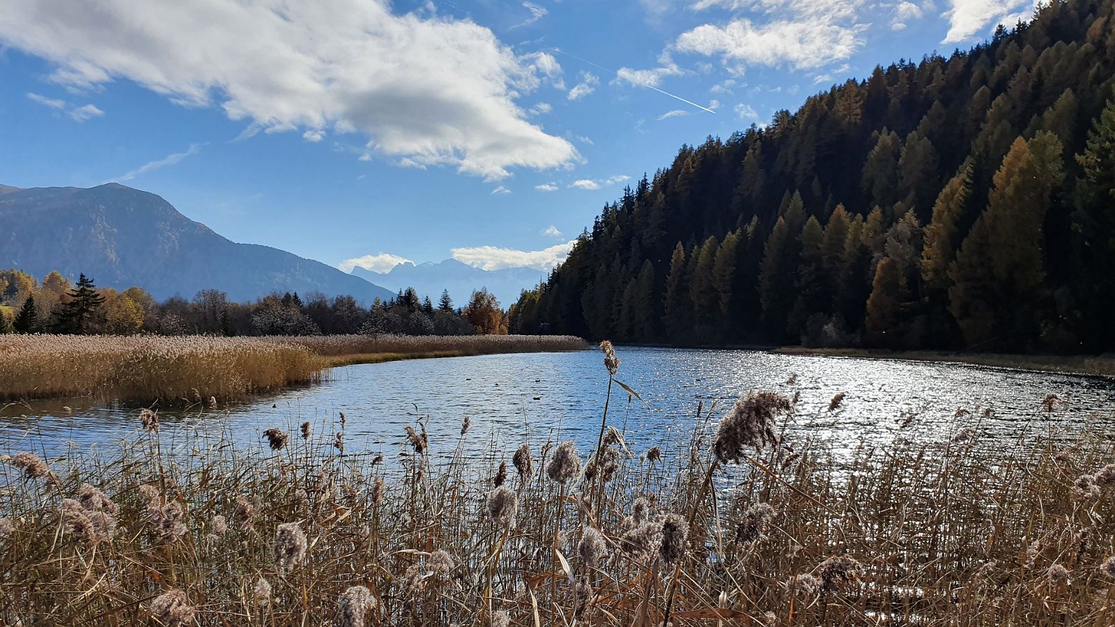 347-dag-11-09-Haidersee.jpg