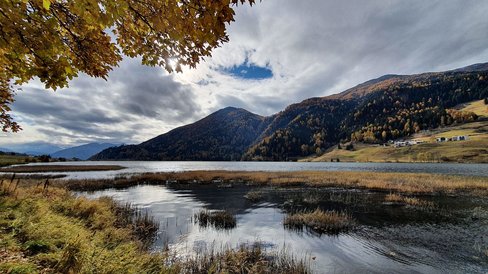 352-dag-11-18-Haidersee.jpg