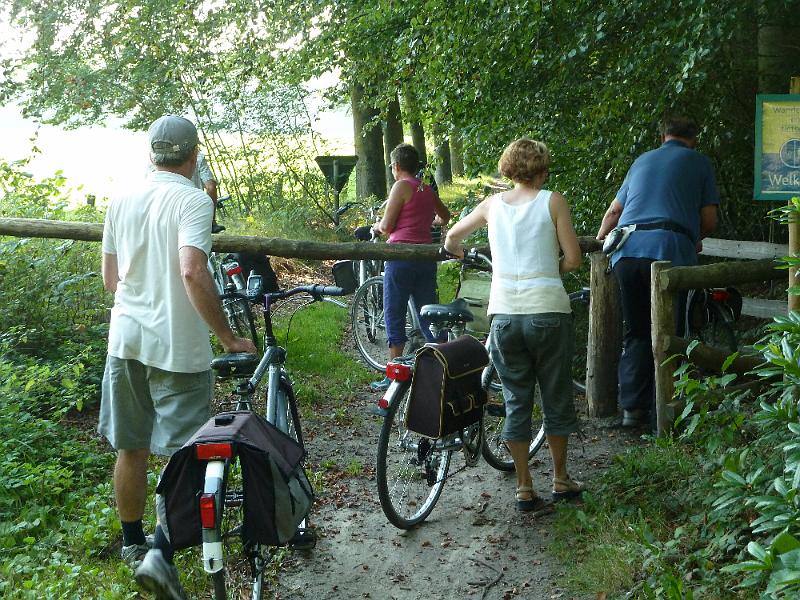 005dag1houtland14.jpg - en de Torhoutse bossen ...