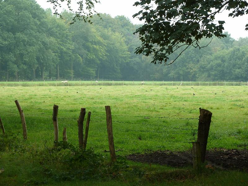 057dag2Tillegem10.jpg - We zijn in Tillegembos ...