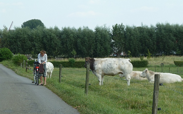 025-meulebeke-8-mar.jpg - Laat de koeien maar waar ze zijn Hilde.