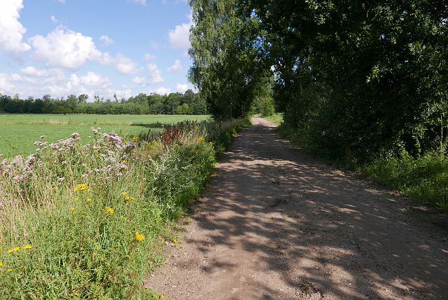 084-hoge-vijvers-3.jpg - Fietsen in het natuurgebied Hoge Vijvers. 