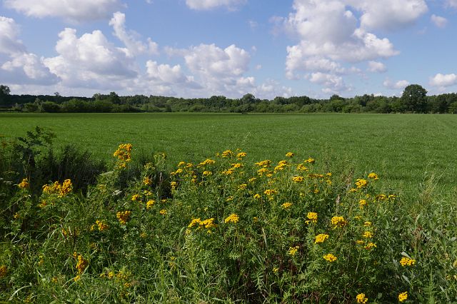 085-hoge-vijvers-4.jpg - Dit is een gebied met 500 hectare bos, graslanden en akkers in de Noorderkempen.