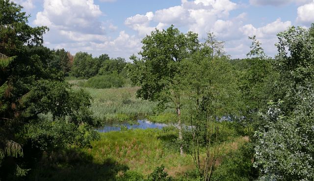 103-nog-een-uitkijktoren-5.jpg