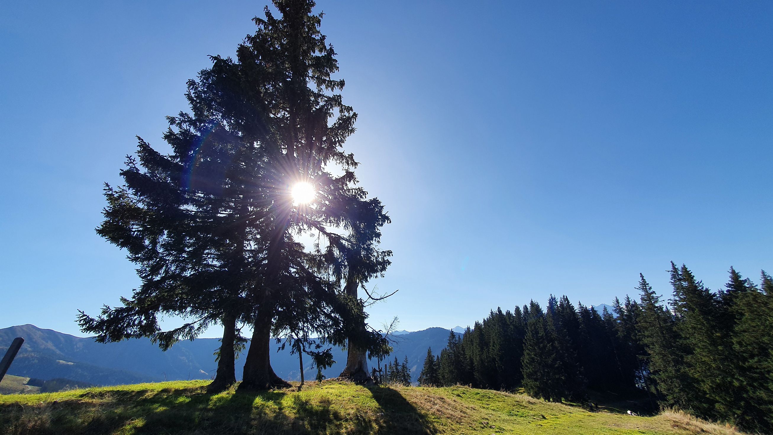 017-dag-002-0014-Zell-am-See.jpg - Hogerop schijnt de zon.