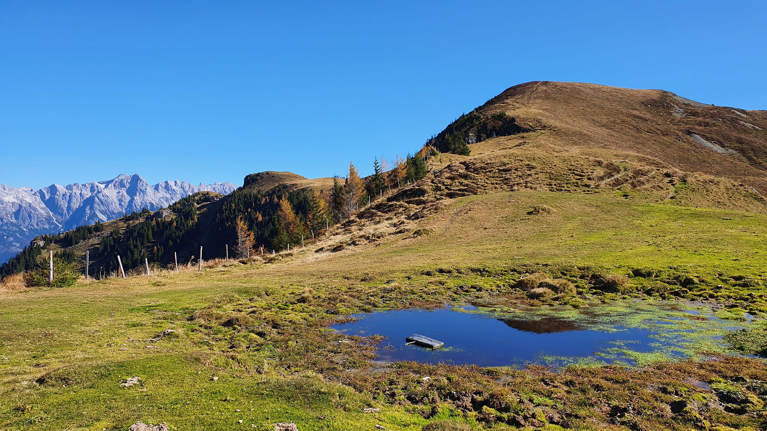 019-dag-002-0020-Zell-am-See.jpg