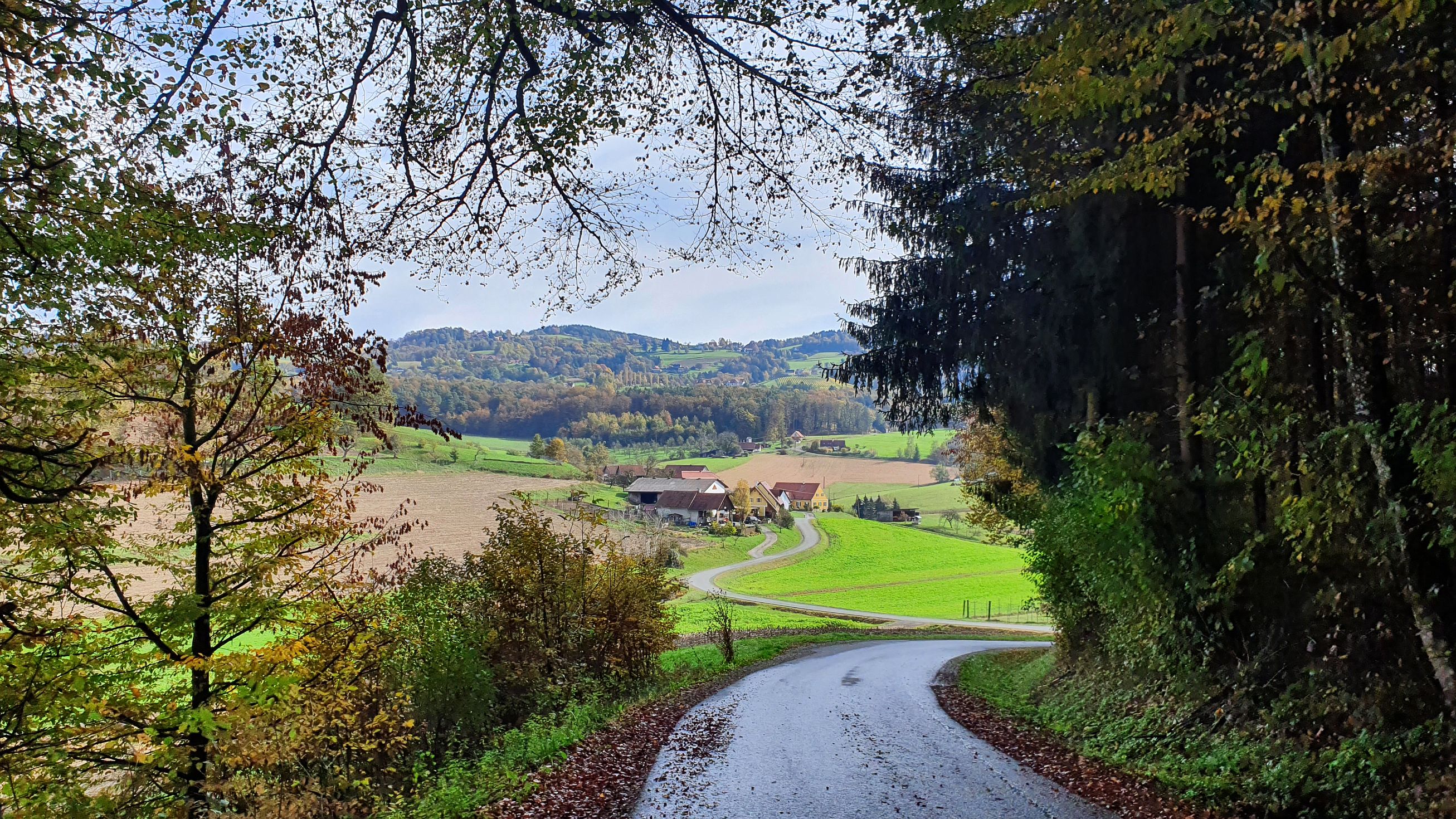 151-dag-07-pistorfer-rundwanderweg-27.jpg