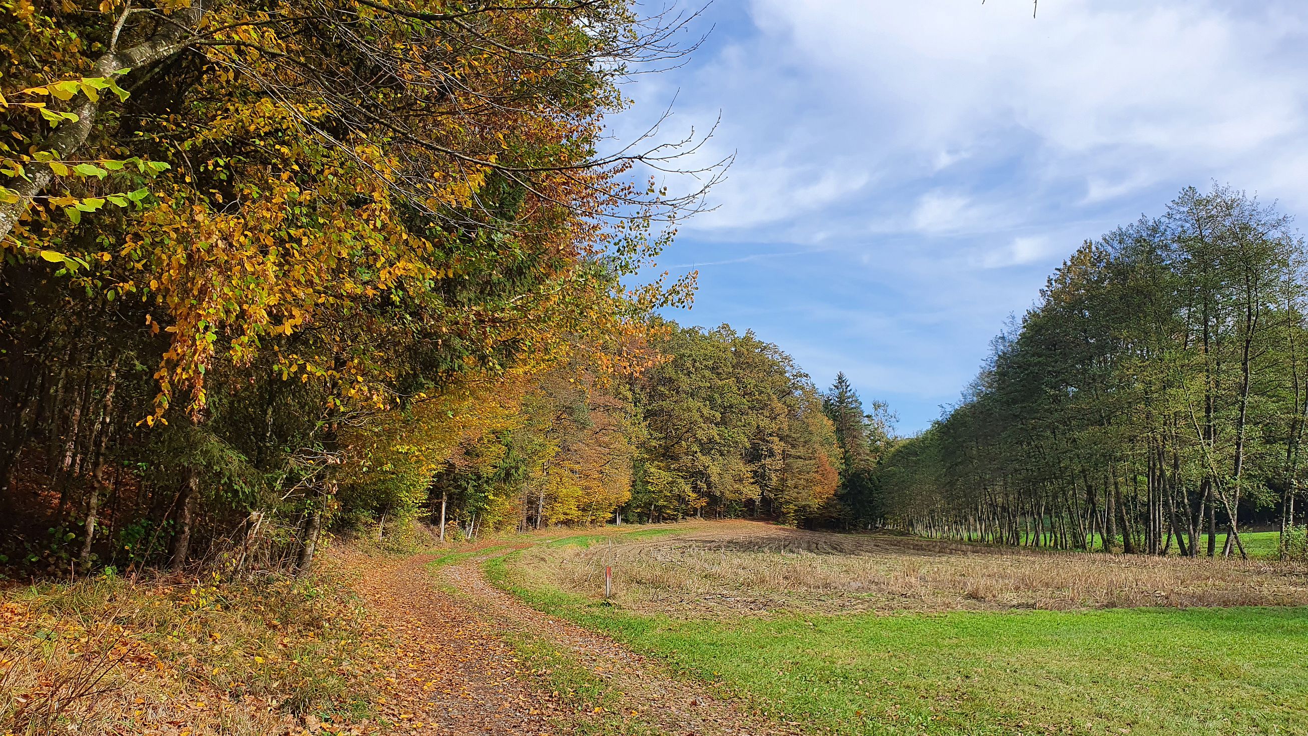 155-dag-07-pistorfer-rundwanderweg-24.jpg