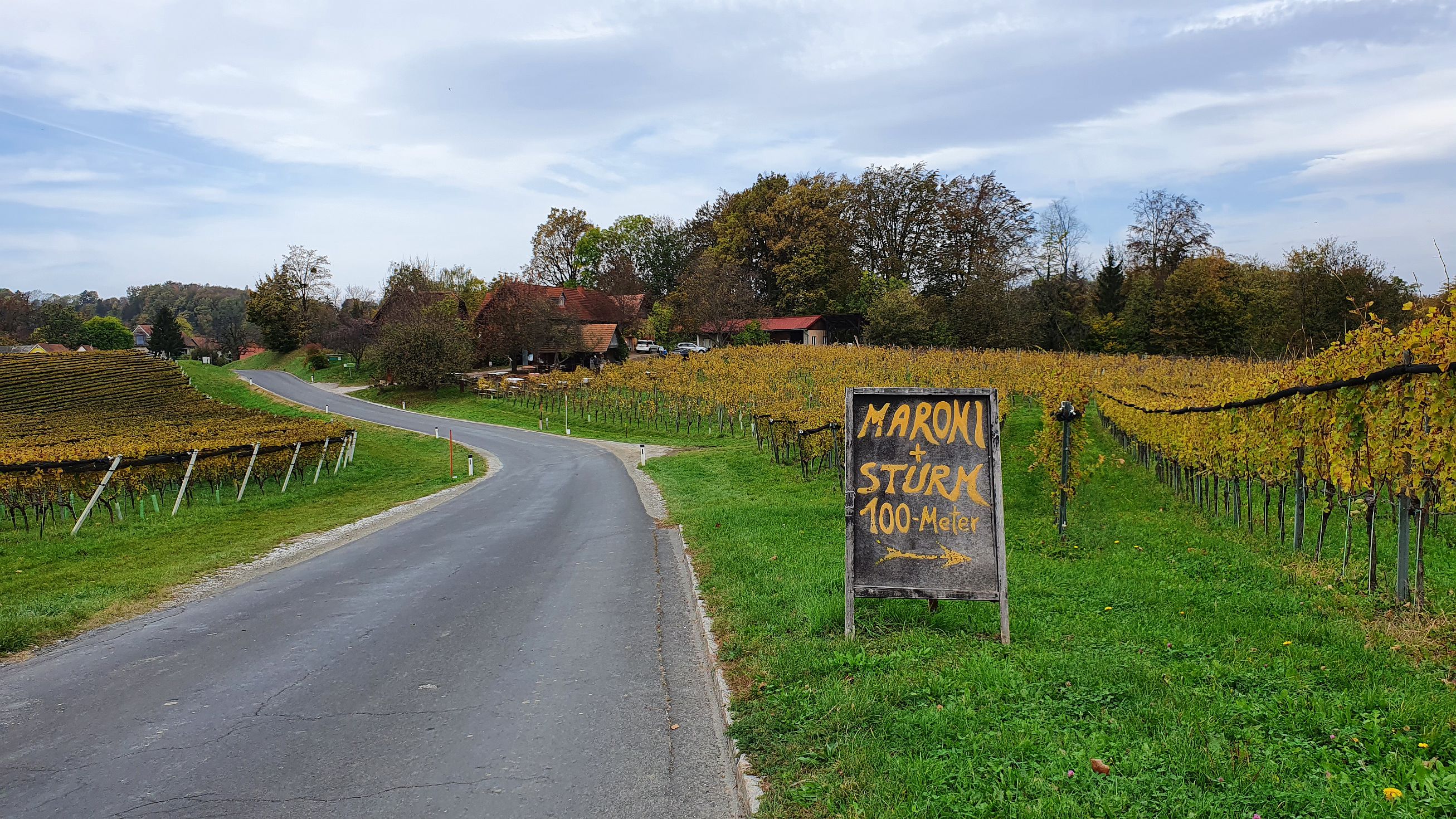 201-dag-08-weinstrassentour-20-staatsgrenze.jpg