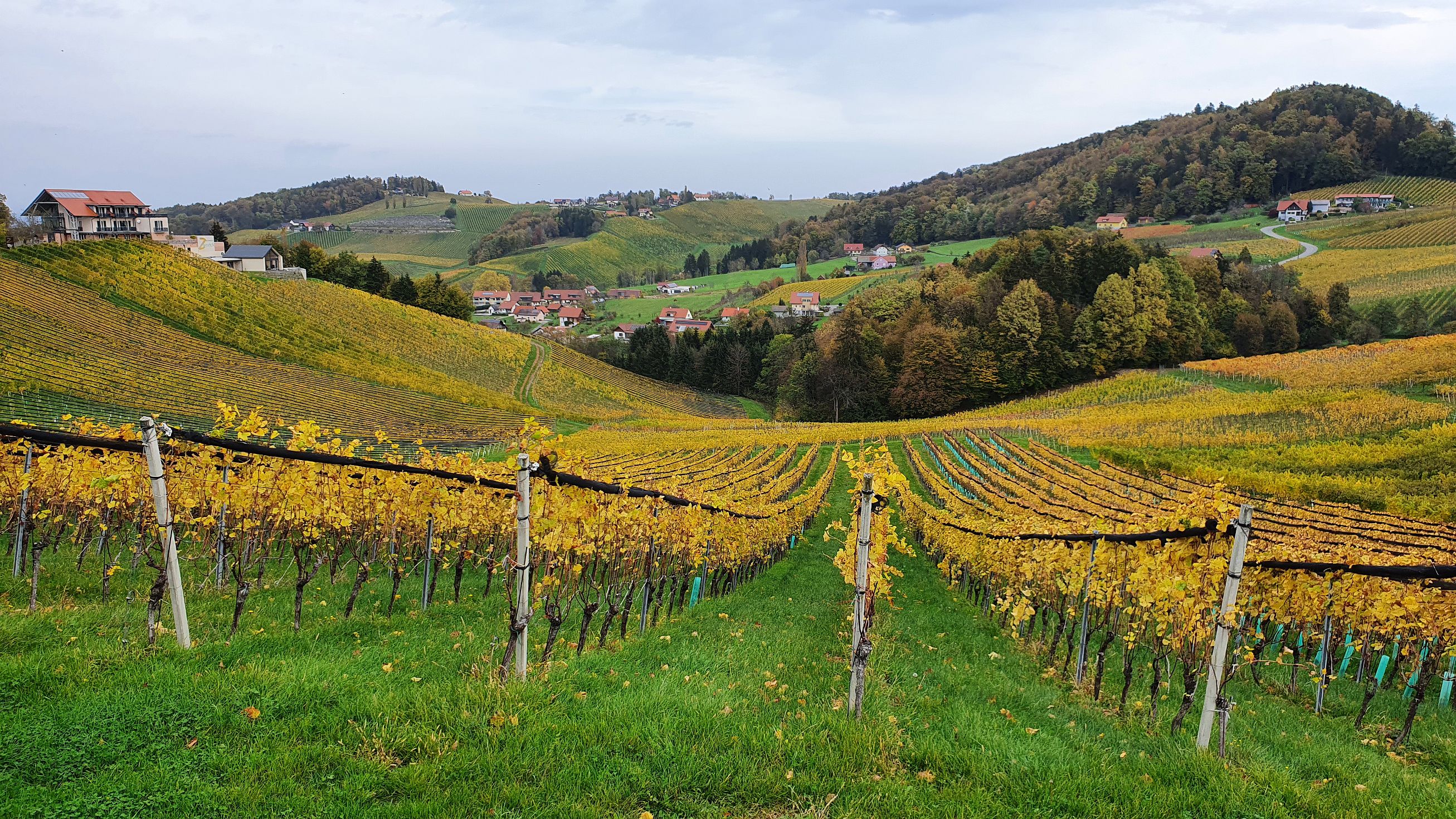 202-dag-08-weinstrassentour-22-lubekogel.jpg - Ratsch