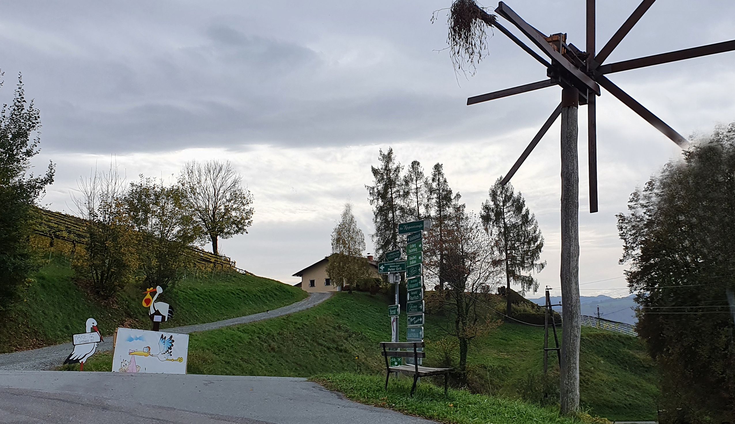 207-dag-08-weinstrassentour-37-karnerberg.jpg - Ook typisch voor de streek: ooievaars die de geboorte van kindjes aankondigen.