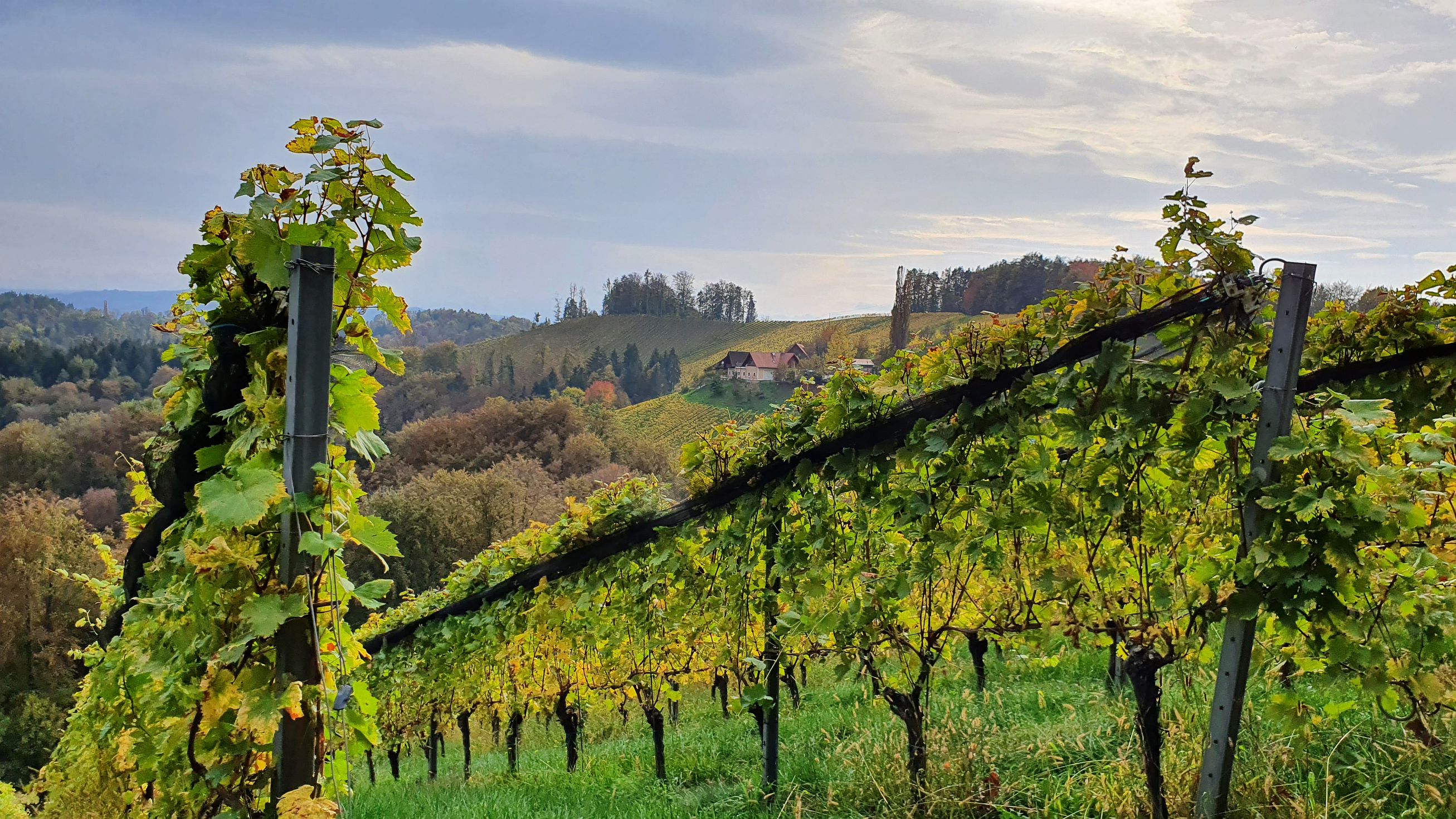 215-dag-08-weinstrassentour-50-kranach.jpg