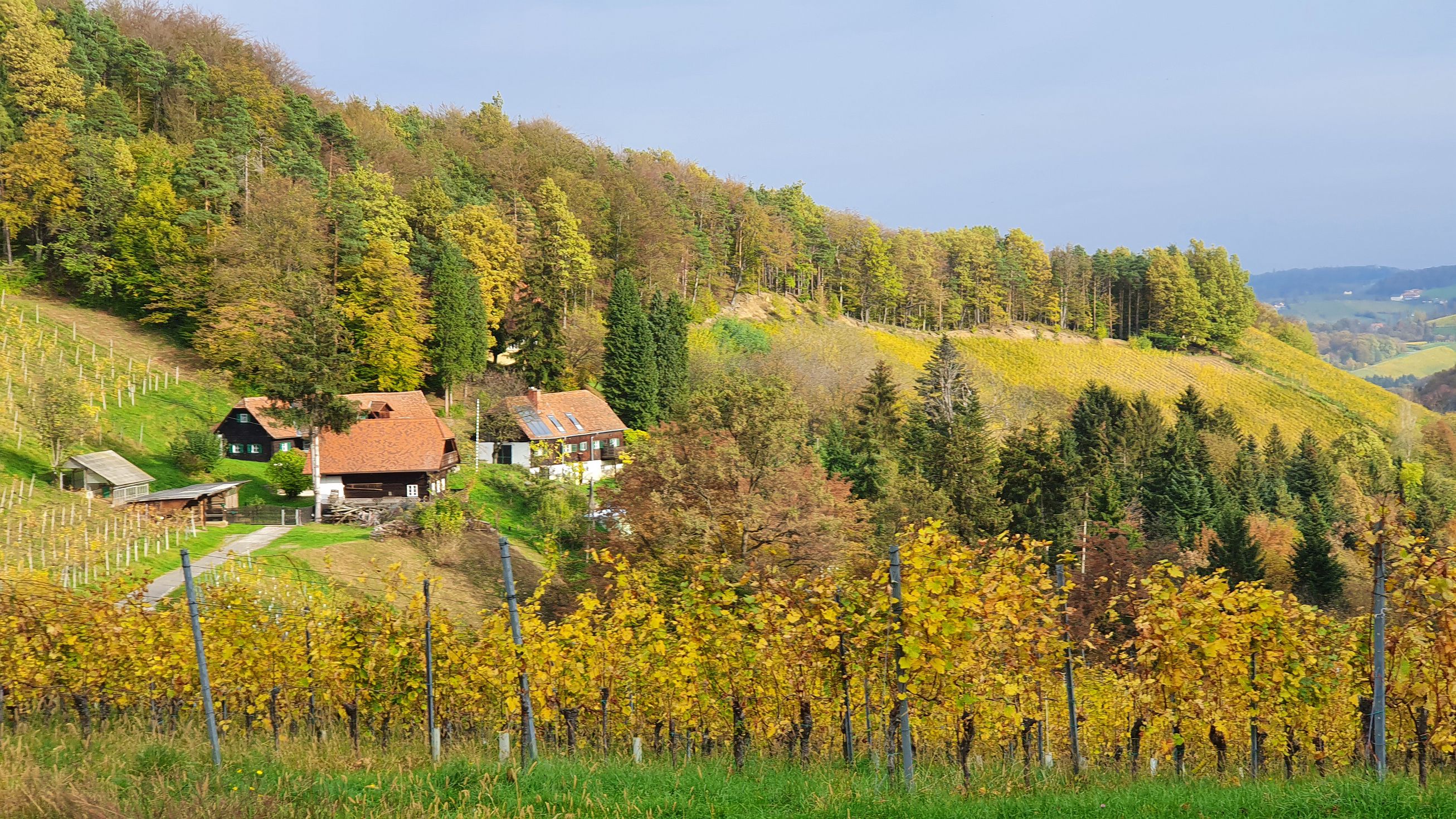 216-dag-08-weinstrassentour-51-kranach.jpg