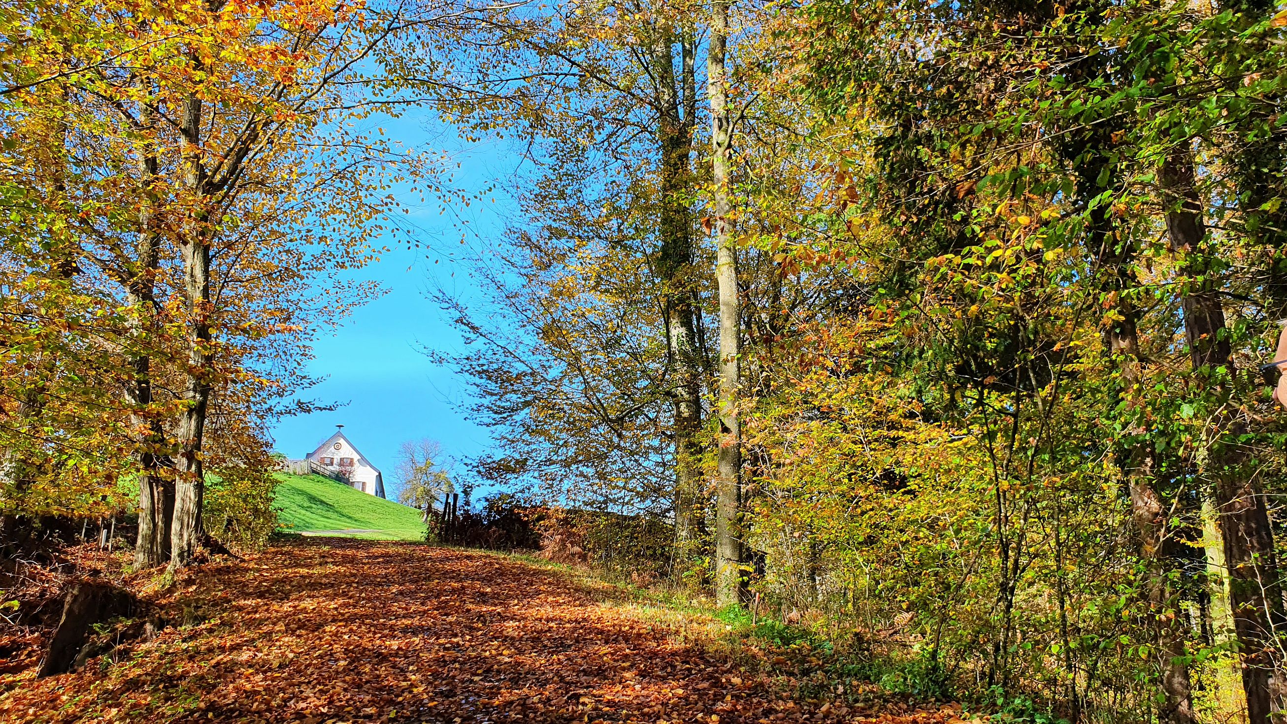 221-dag-09-st-johann-saggautal-004-untergreithweg.jpg