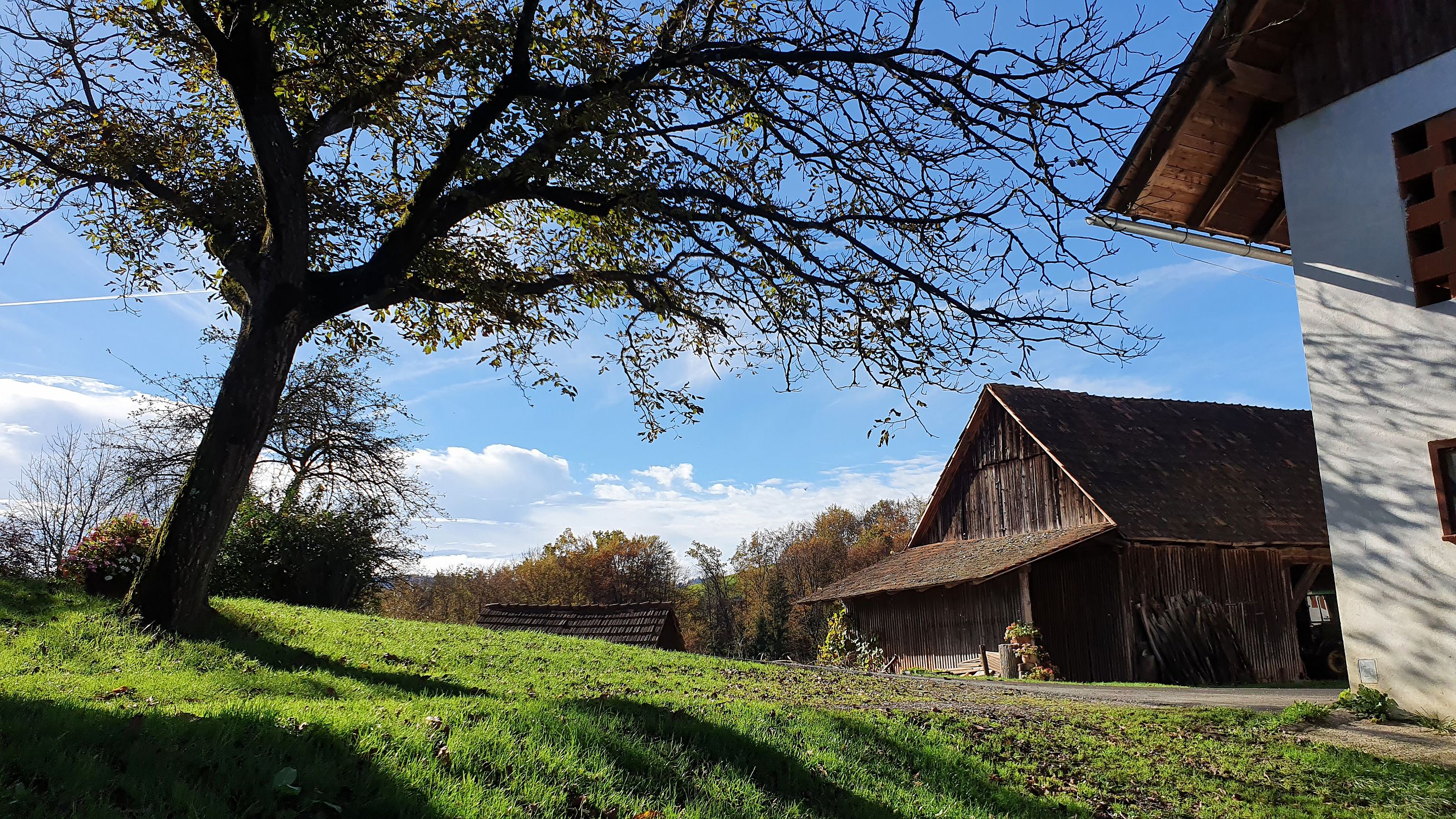 222-dag-09-st-johann-saggautal-006-untergreithweg.jpg