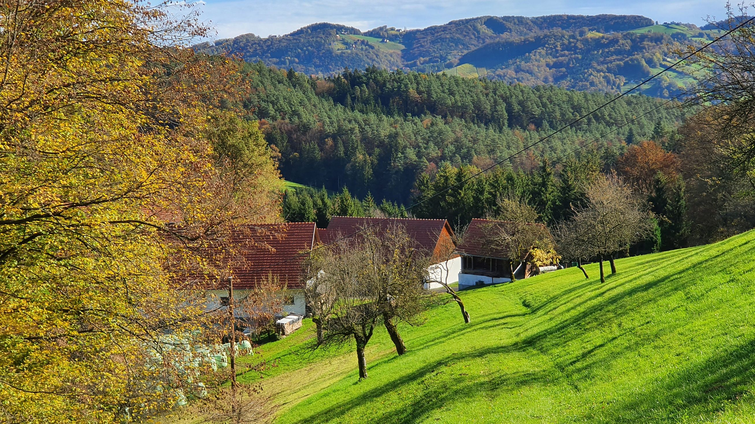 223-dag-09-st-johann-saggautal-008-untergreithweg.jpg