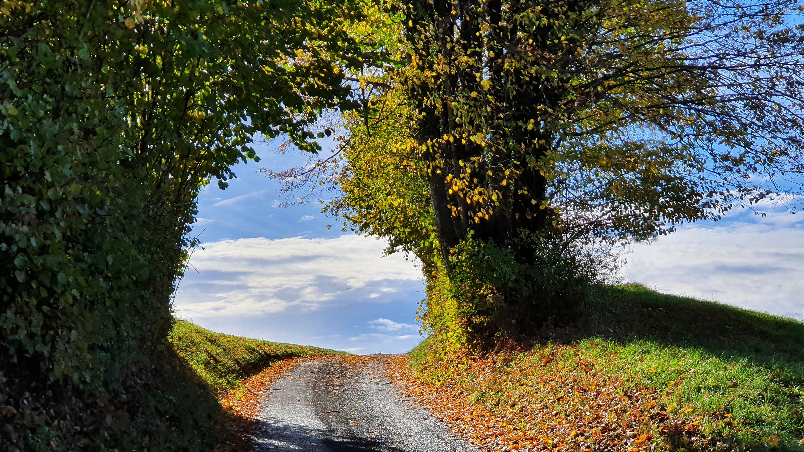 225-dag-09-st-johann-saggautal-010-untergreithweg.jpg