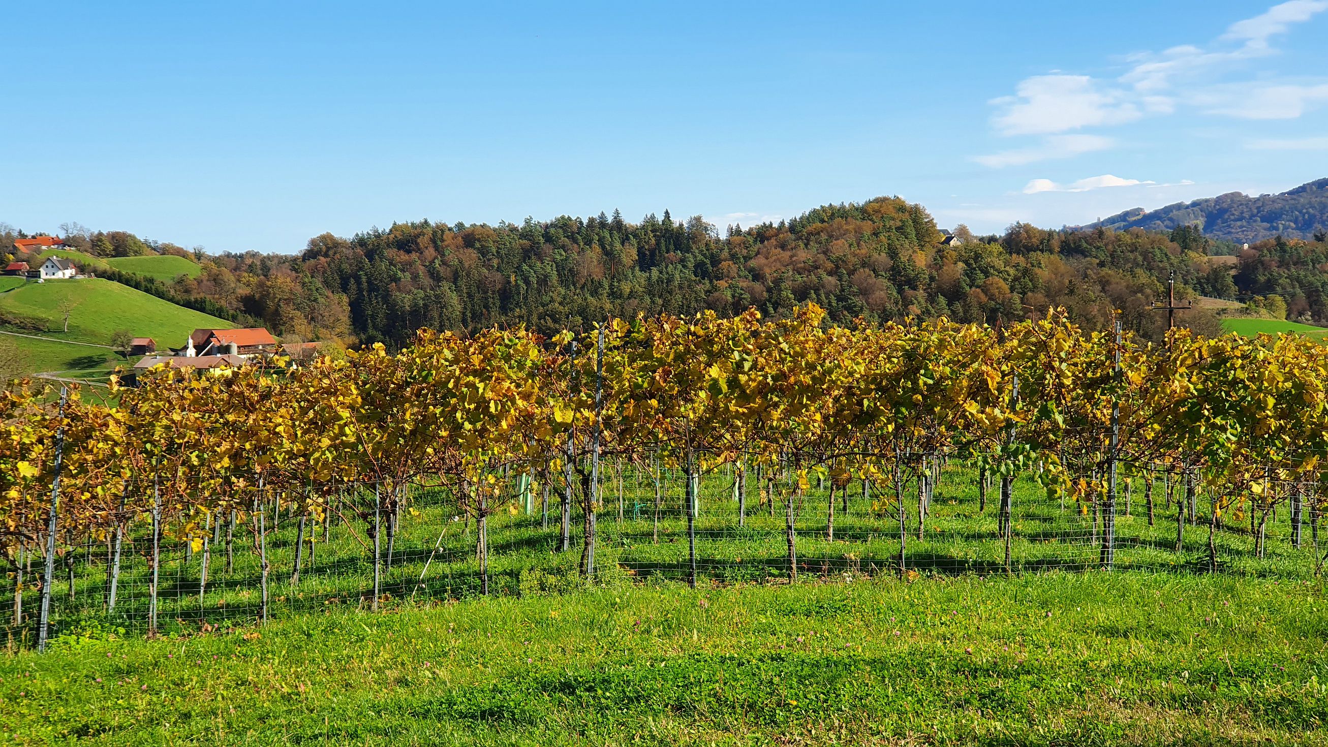 232-dag-09-st-johann-saggautal-021-untergreithweg.jpg