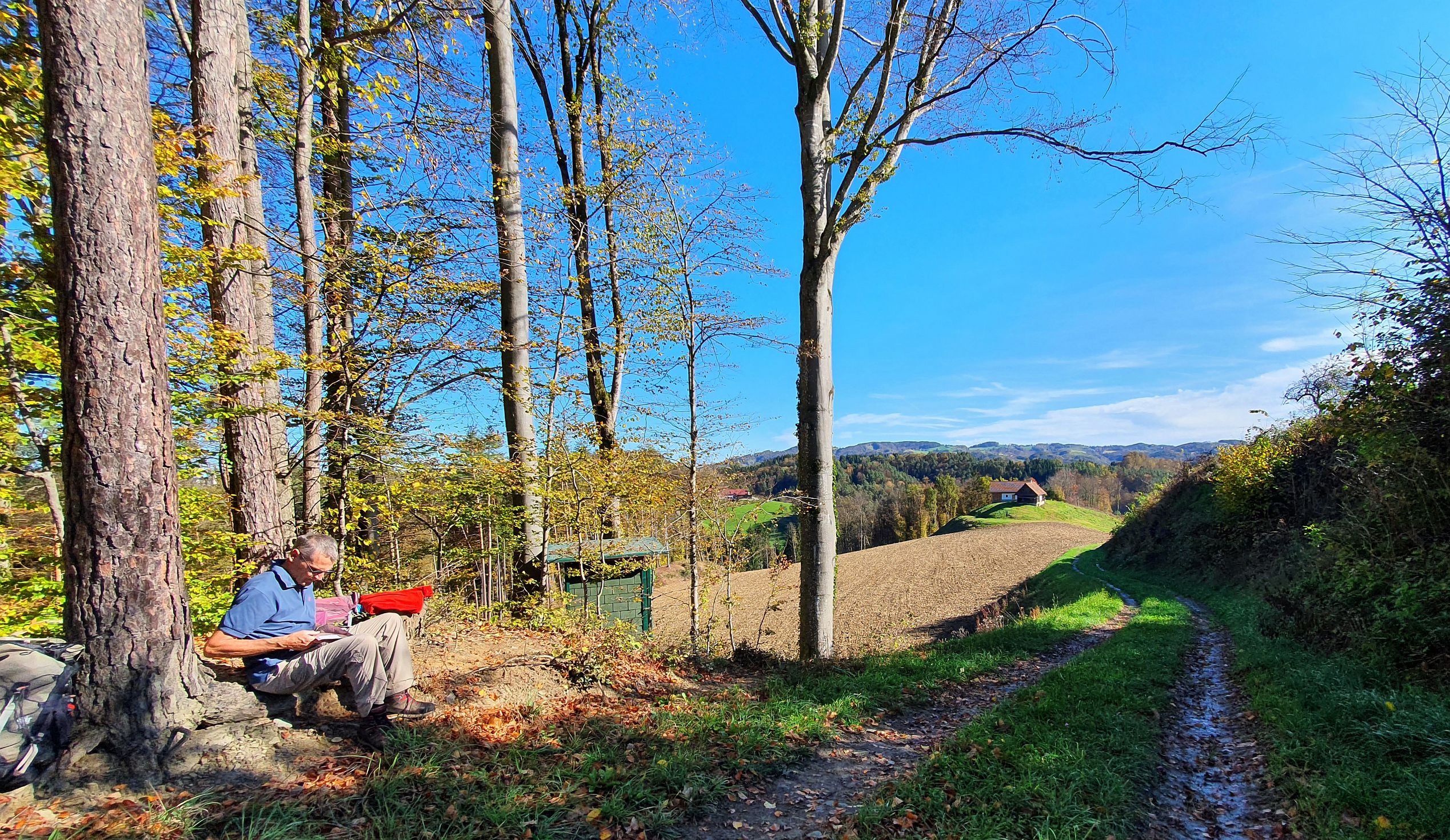 233-dag-09-st-johann-saggautal-022-untergreithweg.jpg - Een rustige picknickplek aan de rand van het bos.