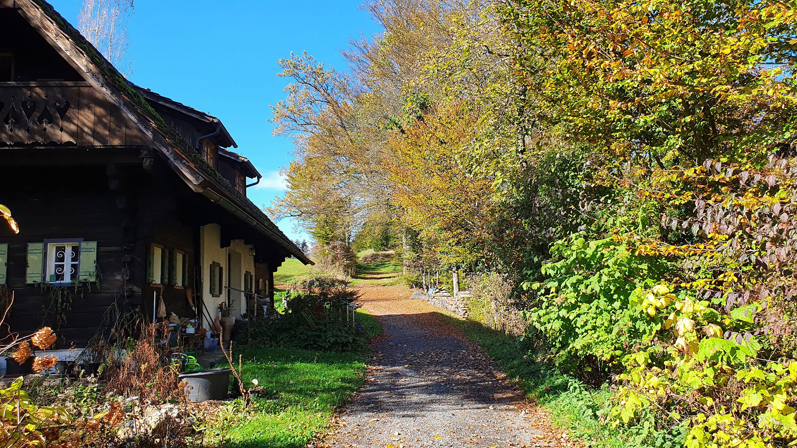 237-dag-09-st-johann-saggautal-037-untergreithweg.jpg