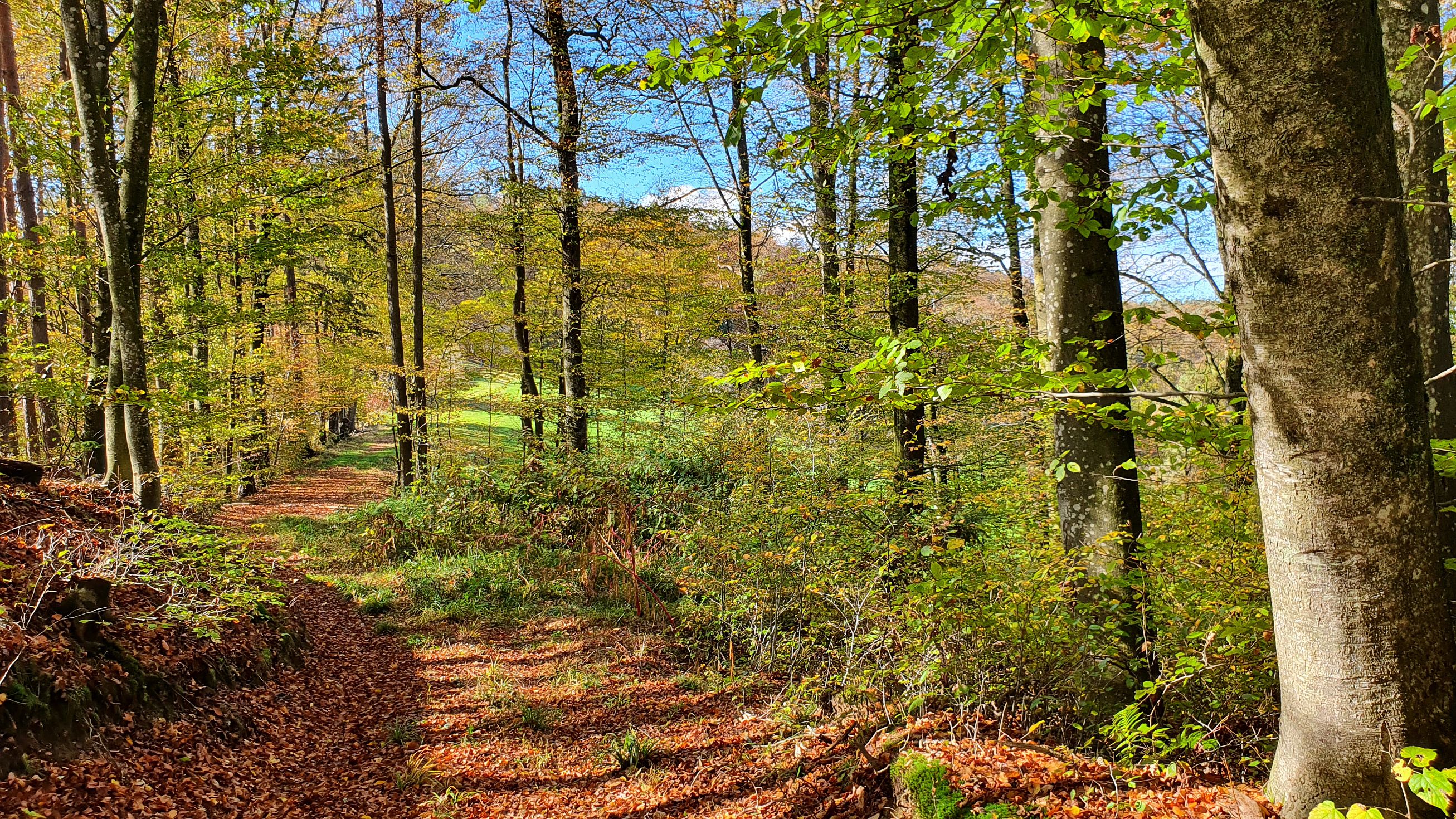 238-dag-09-st-johann-saggautal-041-untergreithweg.jpg