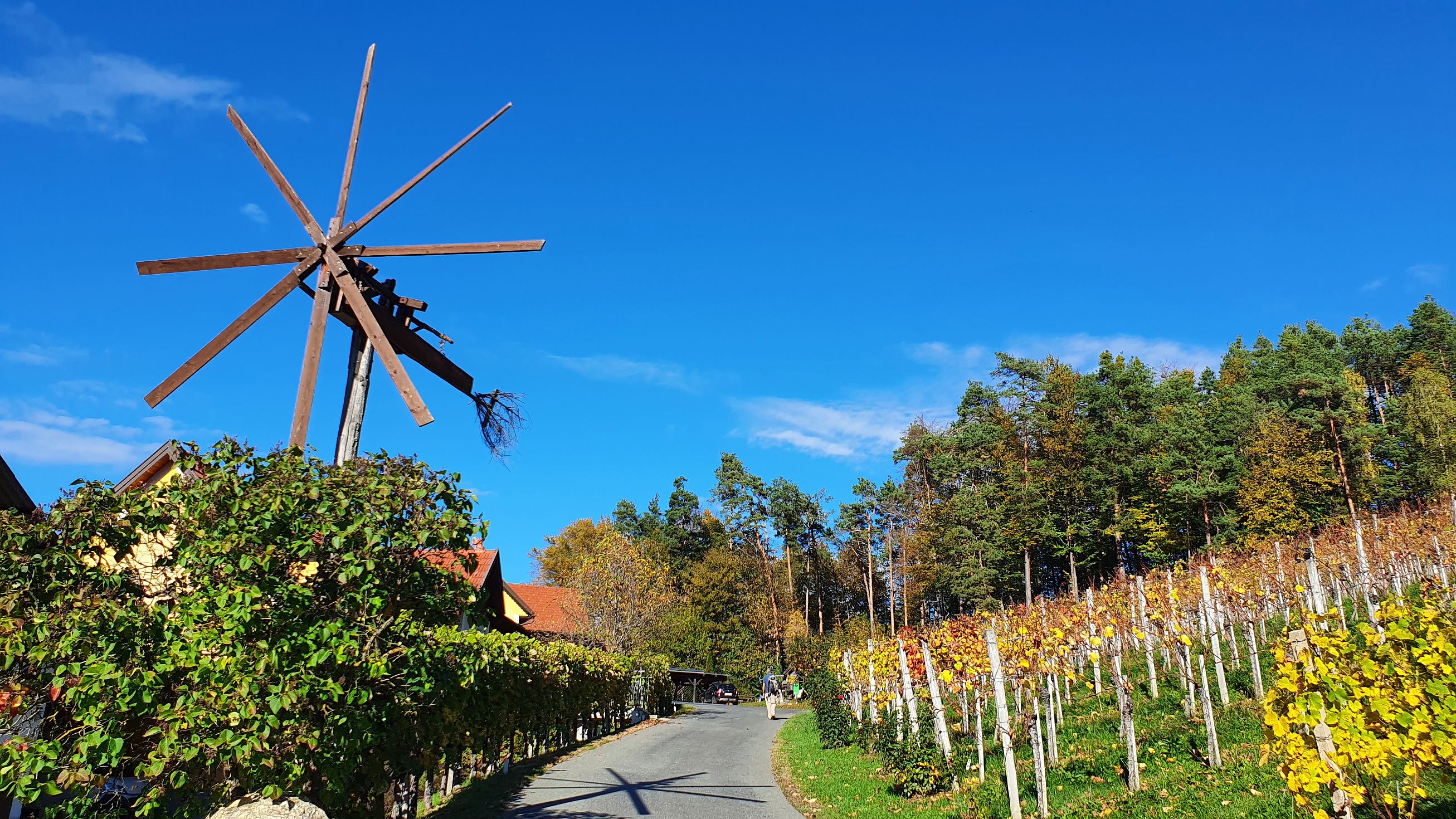 246-dag-09-st-johann-saggautal-054-weg-der-sinne.jpg