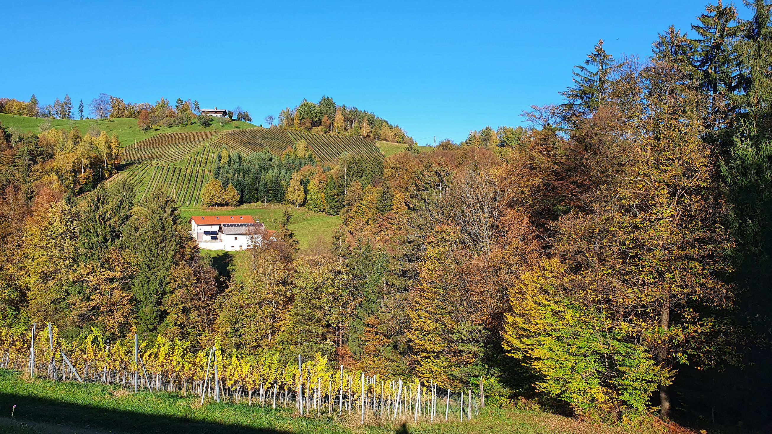 253-dag-09-st-johann-saggautal-068-weg-der-sinne.jpg