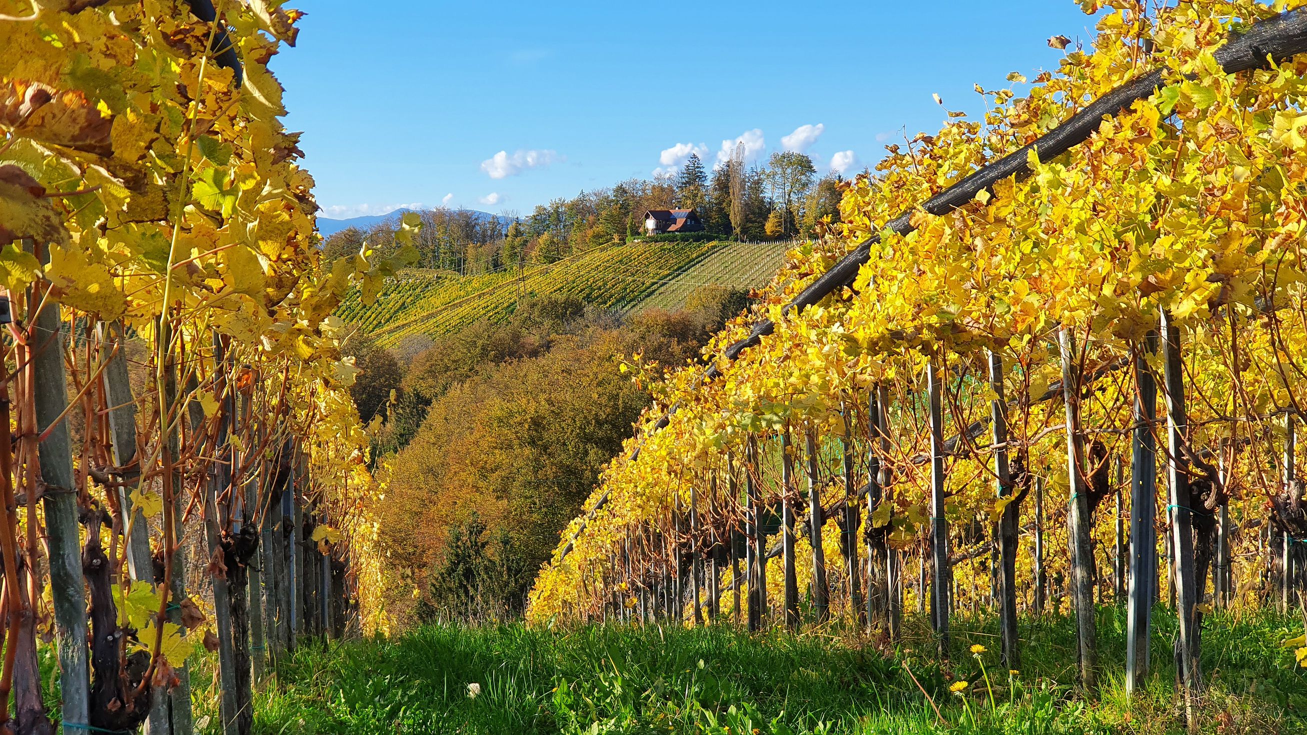 255-dag-09-st-johann-saggautal-076-weg-der-sinne.jpg