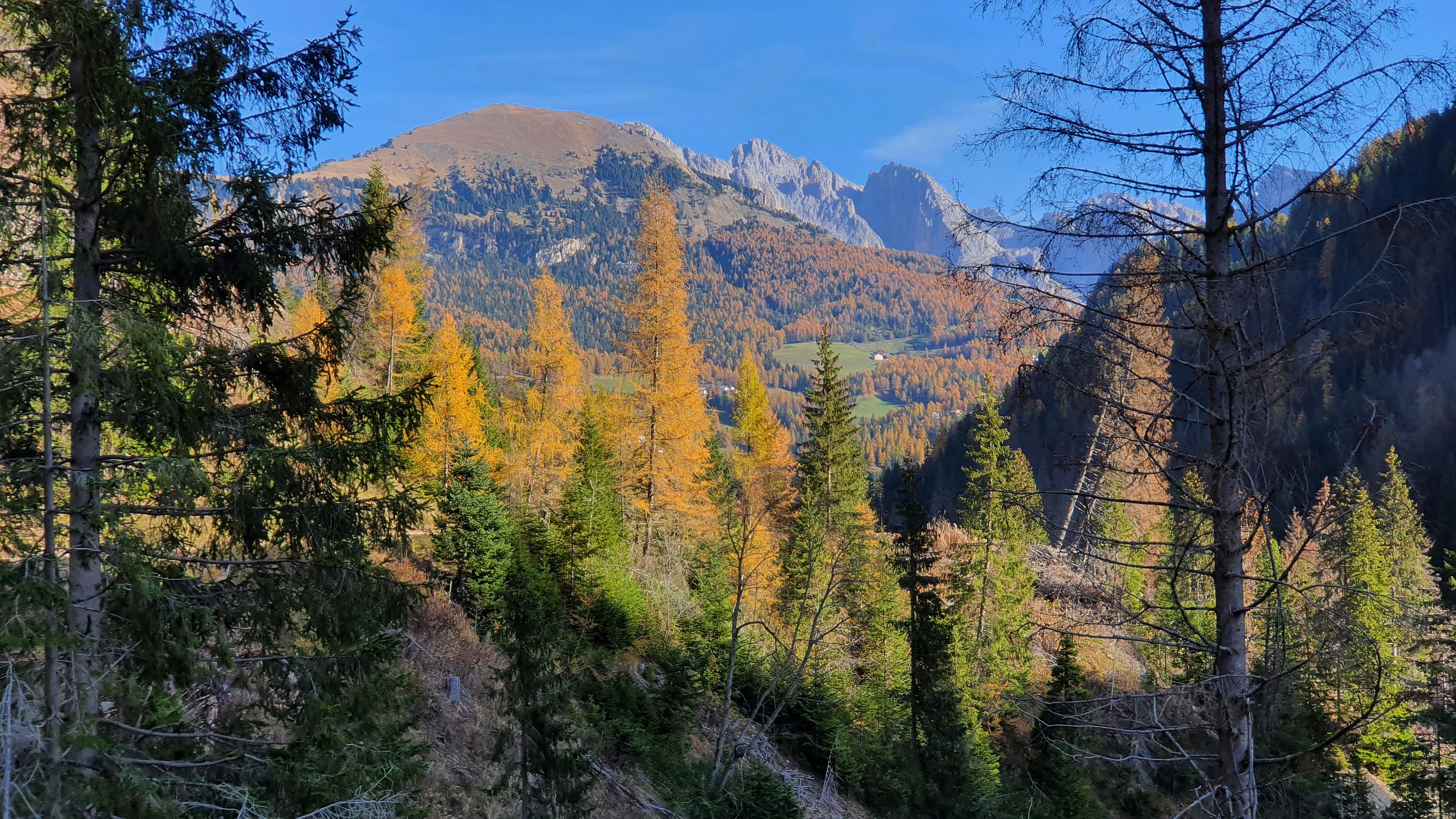 417-dag-14-Santa-Christina-Seiser-Alm-02.jpg - Jakob en Luise zijn na het ontbijt naar huis vertrokken. Wij wandelen in de achtertuin van La Rives, richting Seiser Alm.