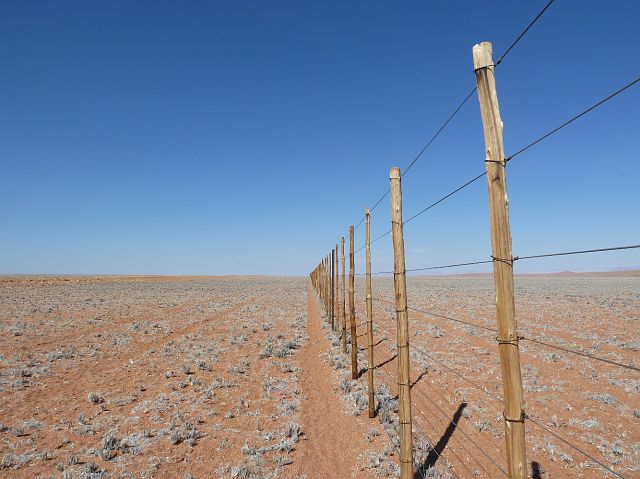 028-namib-26.jpg - omheiningen, Namibwoestijn, Namibië