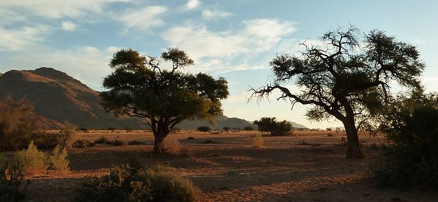 038-namib-70.jpg - Namibwoestijn, Namibië