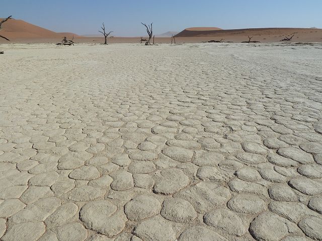 048-deadvlei-17.jpg - gescheurde aarde, Deadvlei, Namibië