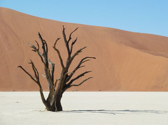 049-deadvlei-26.jpg - Deadvlei, Namibië