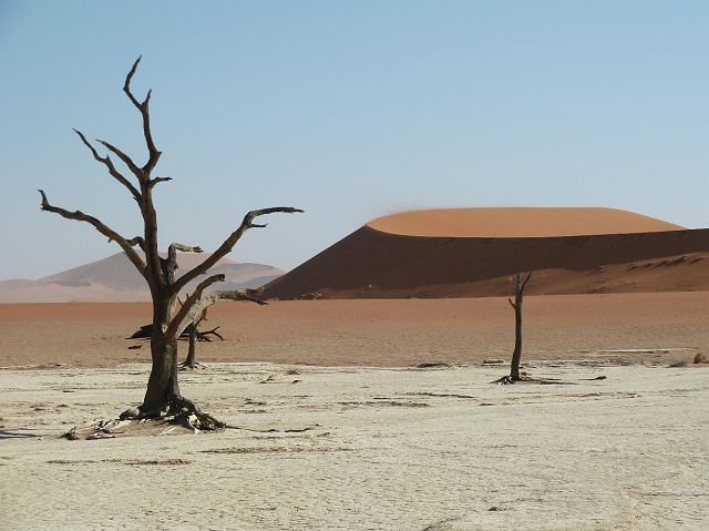 050-deadvlei-13.jpg - Deadvlei, Namibië