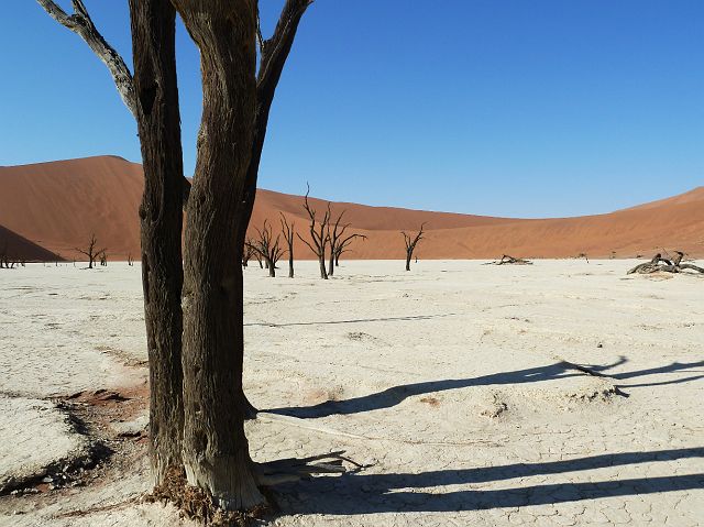 051-deadvlei.jpg - Deadvlei, Namibië