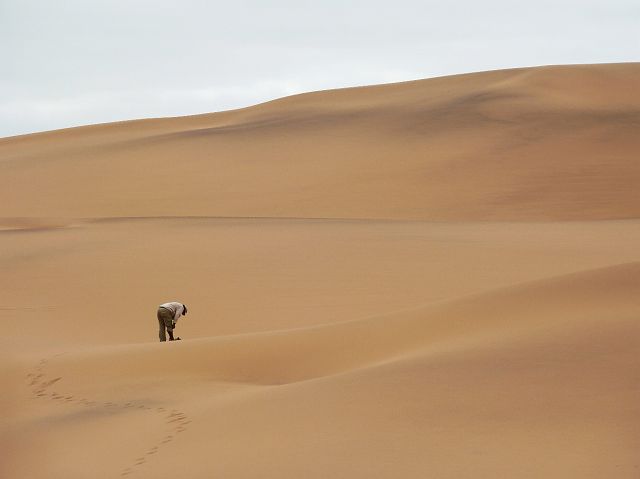 059-desert-swakopmund-22.jpg - Gids, Swakopmund, Namibië