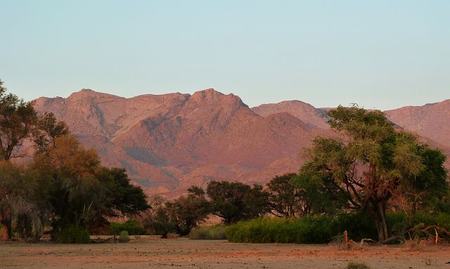061-damaraland-25.jpg - Brandbergen, Damaraland, Namibië