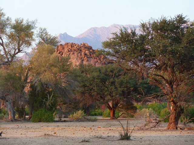 062-damaraland-28.jpg - Brandbergen, Damaraland, Namibië