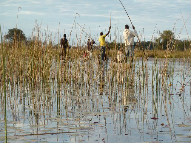 090-okavangodelta-084-mokoro-ochtend.jpg - Okavangodelta, Botswana