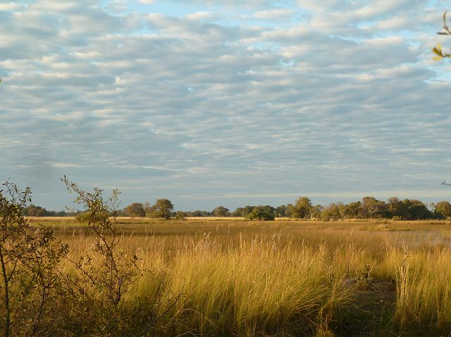 095-okavangodelta-079-mokoro-ochtend.jpg - ochtendstemming, Okavangodelta, Botswana