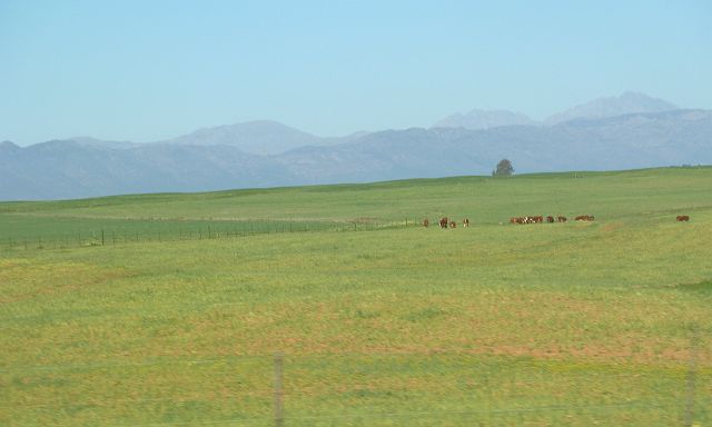 074-onderweg-02.jpg - Fynbos wordt ingeruild voor groene weiden ...