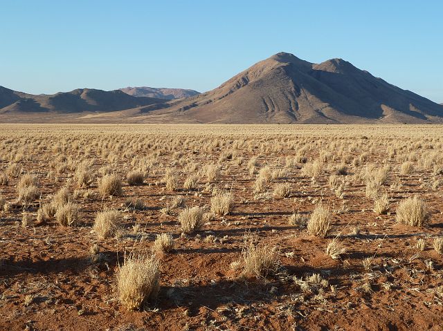 210-namib-65.jpg - We rijden verder door de Namib, de oudste woestijn ter wereld. De ca 100 km brede woestijn strekt zich uit langs de Atlantische kust, ca 400 km van Luderitz in het zuiden tot Walvisbaai in het noorden.