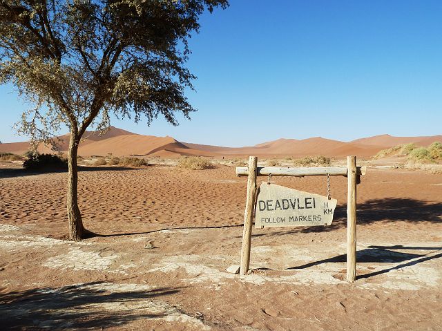 291-deadvlei-01.jpg - Deze witte kleivlakte omringd door hoge rode duinen wordt al honderden jaren geteisterd door droogte omdat de Tsauchabrivier niet meer tot in de vlakte geraakt.