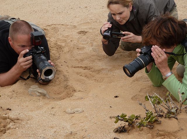 374-desert-swakopmund-24.jpg - Grappig hoe dat addertje golven achterlaat in het zand, maar ook grappig hoe toeristen daar foto's van nemen.